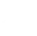 Capcut